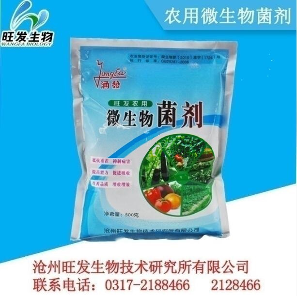 农用微生物菌剂 土壤健康与作物增产的绿色动力