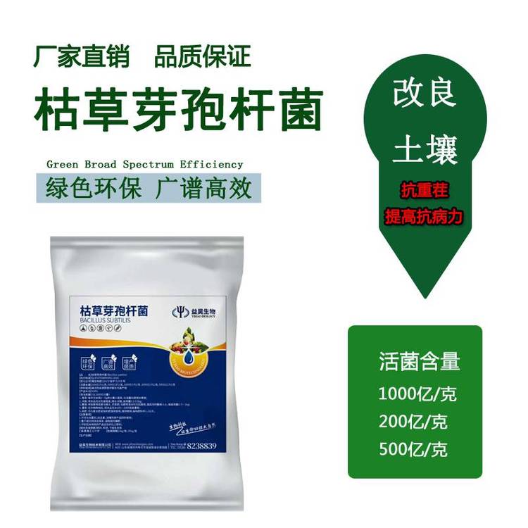 地衣芽孢杆菌 农业种植中的土壤改良利器与微生物菌剂核心