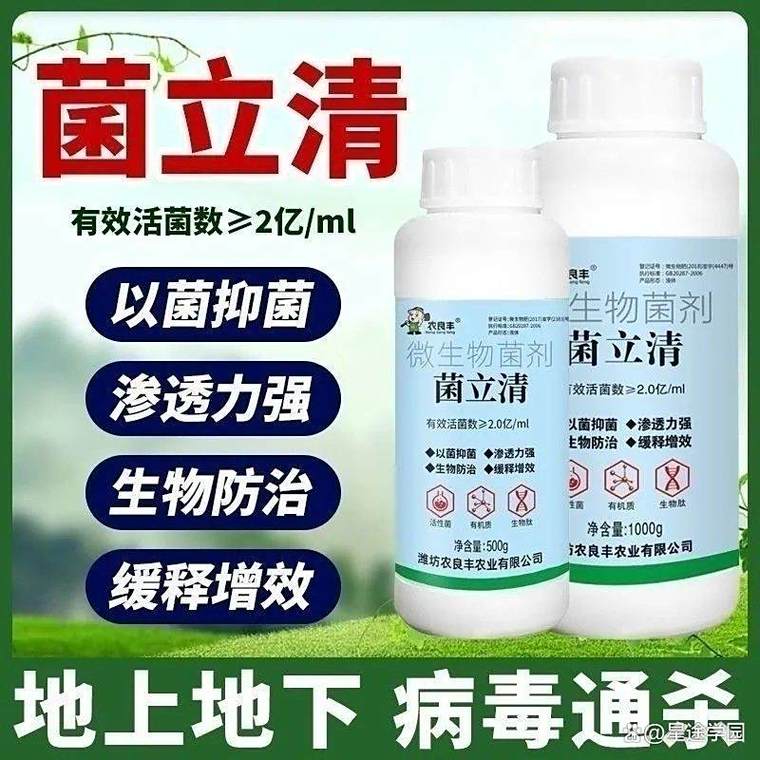 这款通用型菌立清,双杀真菌细菌,农用微生物菌剂 1 瓶灌 3 亩!
